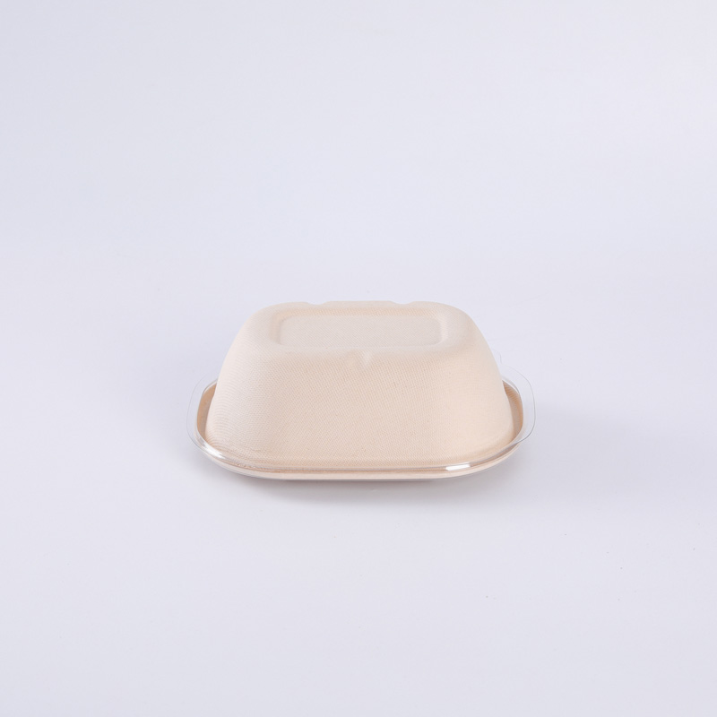 Plant Fibers Renewable Sugarcane Biodegradable Takeaway Packaging Oval Container With Lids