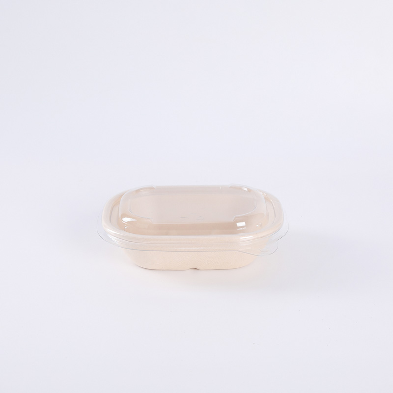 Plant Fibers Renewable Sugarcane Biodegradable Takeaway Packaging Oval Container With Lids