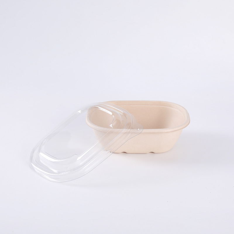 Plant Fibers Renewable Sugarcane Biodegradable Takeaway Packaging Oval Container With Lids