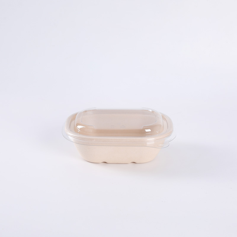 Plant Fibers Renewable Sugarcane Biodegradable Takeaway Packaging Oval Container With Lids