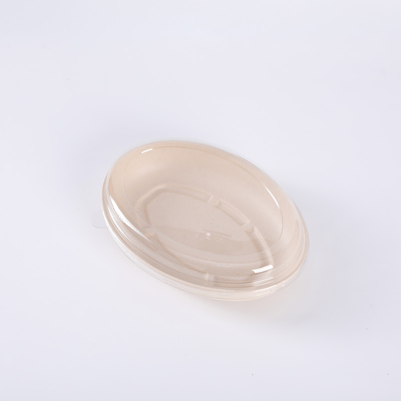Eco Friendly Biodegradable Disposable Takeaway Sugarcane Pulp Bagasse Salad Food Packaging Container