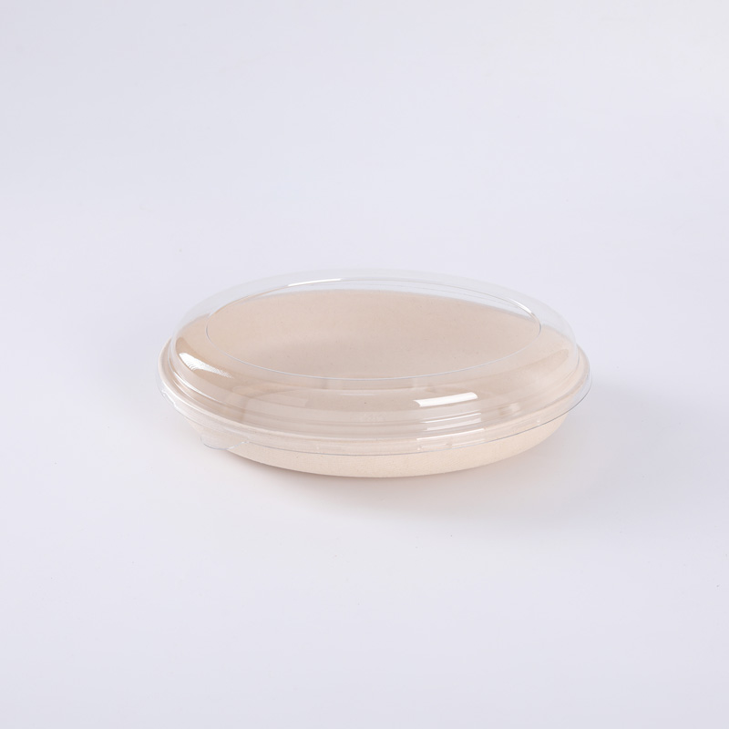 Eco Friendly Biodegradable Disposable Takeaway Sugarcane Pulp Bagasse Salad Food Packaging Container