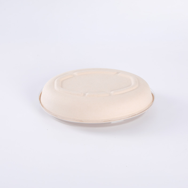 Eco Friendly Biodegradable Disposable Takeaway Sugarcane Pulp Bagasse Salad Food Packaging Container