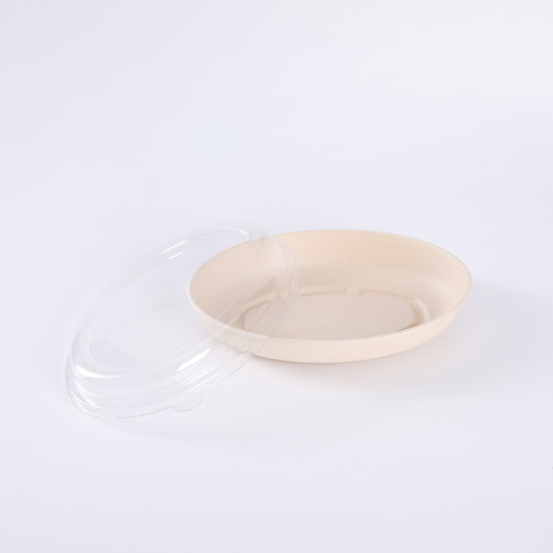 Eco Friendly Biodegradable Disposable Takeaway Sugarcane Pulp Bagasse Salad Food Packaging Container