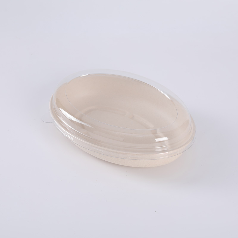 Eco Friendly Biodegradable Disposable Takeaway Sugarcane Pulp Bagasse Salad Food Packaging Container