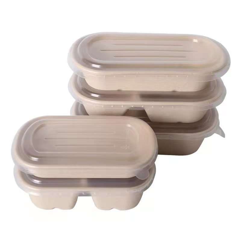 Disposable Compostable Sugarcane Bagasse Pulp Biodegradable Food Container Lunch Box for Food Delivery