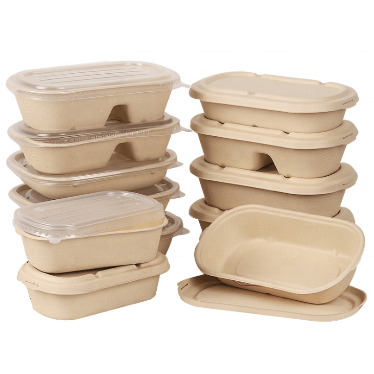 Disposable Compostable Sugarcane Bagasse Pulp Biodegradable Food Container Lunch Box for Food Delivery