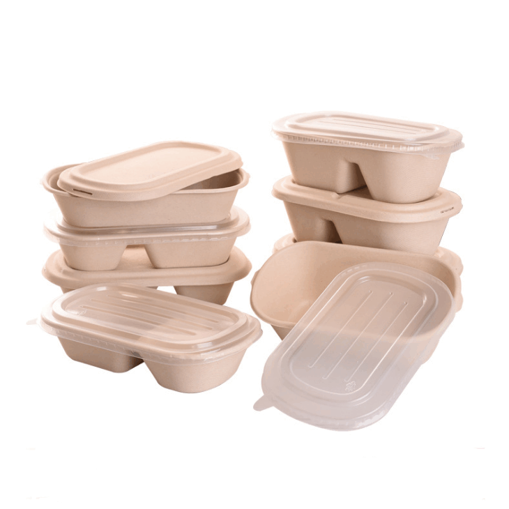 Disposable Compostable Sugarcane Bagasse Pulp Biodegradable Food Container Lunch Box for Food Delivery