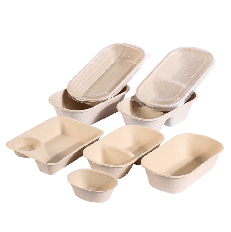 Disposable Compostable Sugarcane Bagasse Pulp Biodegradable Food Container Lunch Box for Food Delivery