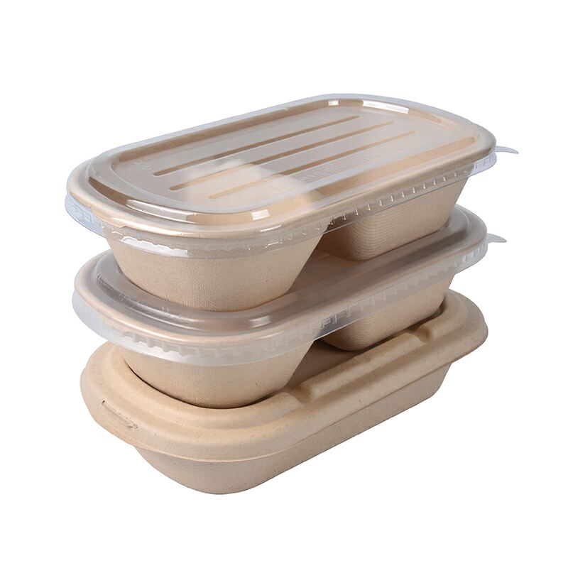 Disposable Compostable Sugarcane Bagasse Pulp Biodegradable Food Container Lunch Box for Food Delivery