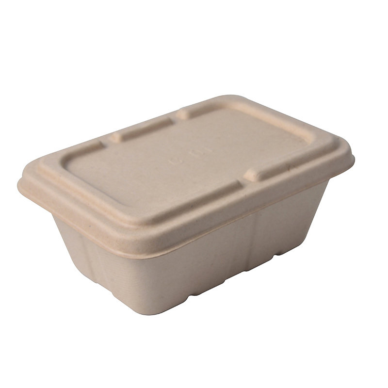 Biodegradable Sugarcane Fiber Rectangle Sushi Noodles Potato Chips Disposable Food Container