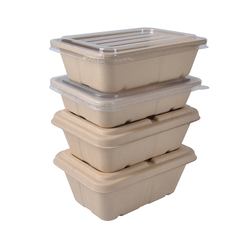 Biodegradable Sugarcane Fiber Rectangle Sushi Noodles Potato Chips Disposable Food Container