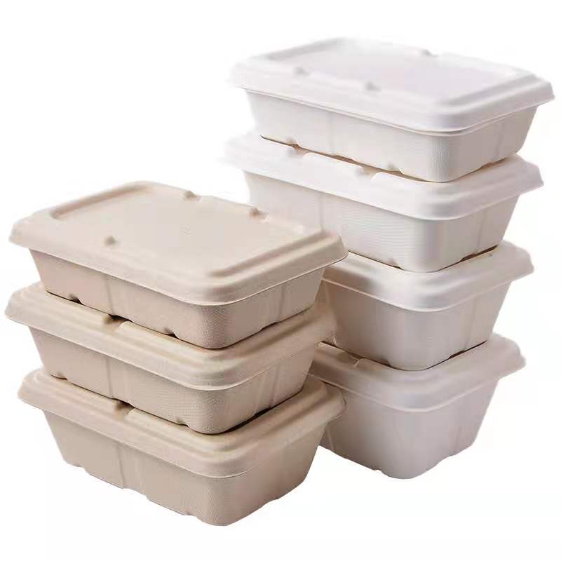 Biodegradable Sugarcane Fiber Rectangle Sushi Noodles Potato Chips Disposable Food Container