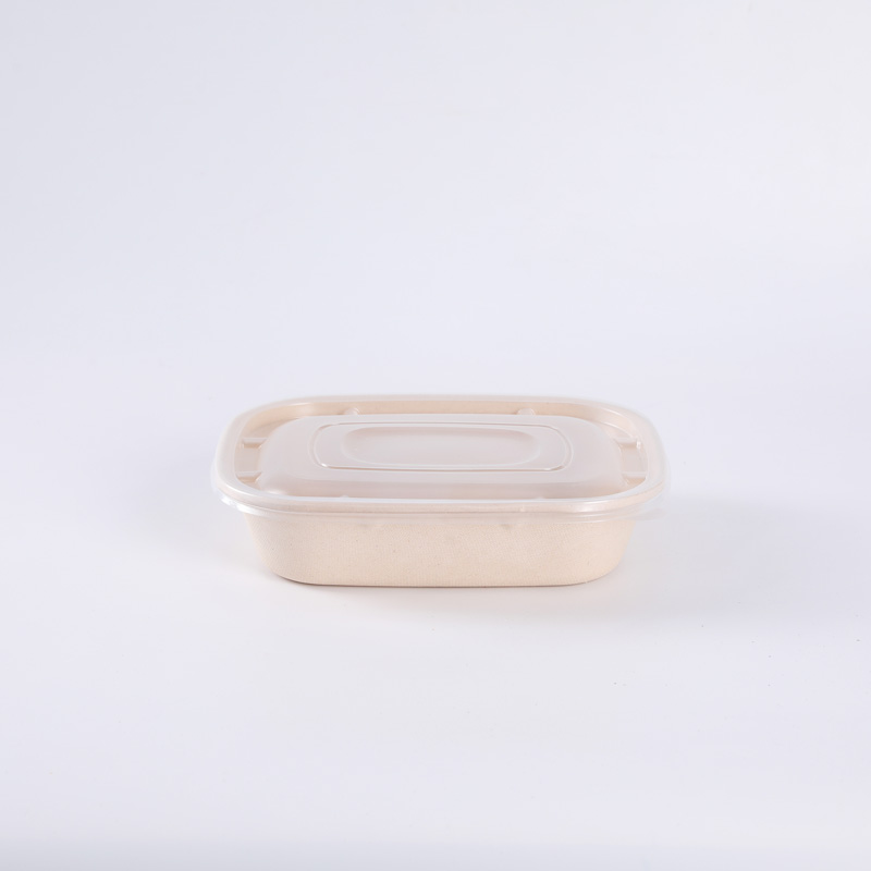 Eco Friendly Bagasse Sugarcane Food Box Disposable Biodegradable Salad Container