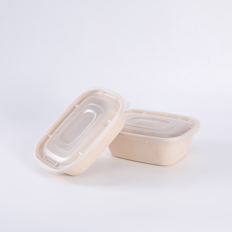 Eco Friendly Bagasse Sugarcane Food Box Disposable Biodegradable Salad Container