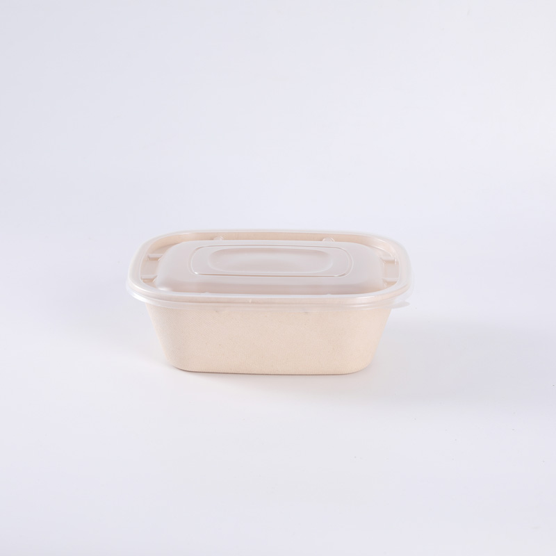 Eco Friendly Bagasse Sugarcane Food Box Disposable Biodegradable Salad Container
