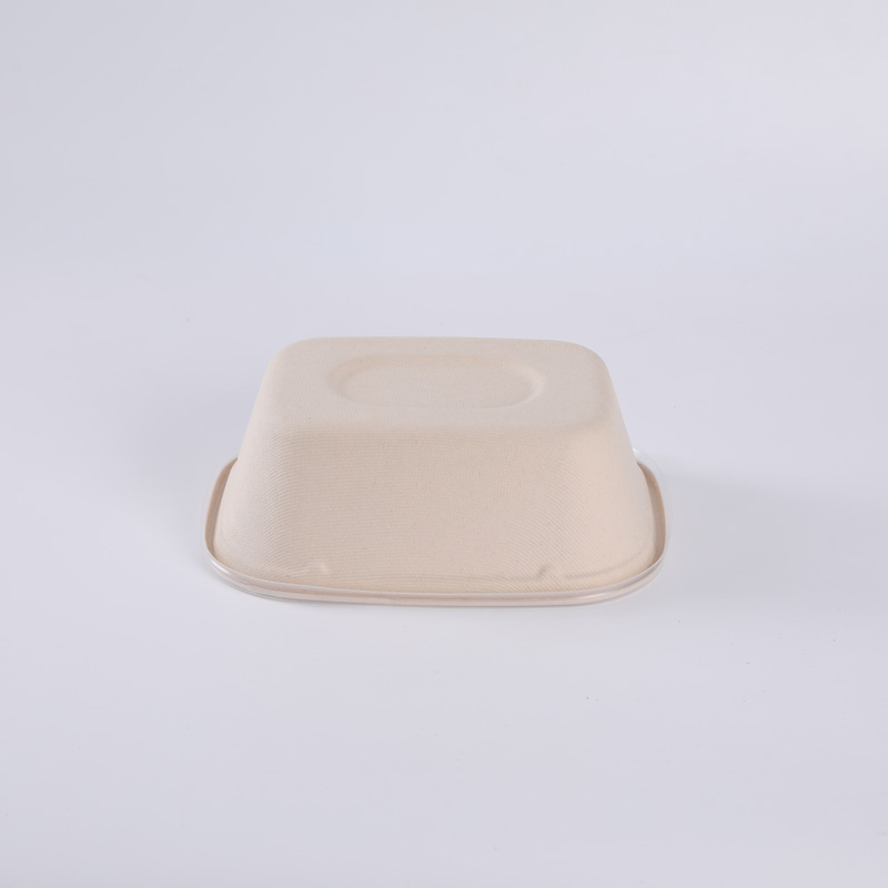 Eco Friendly Bagasse Sugarcane Food Box Disposable Biodegradable Salad Container