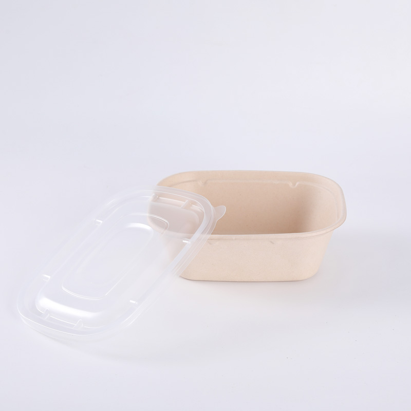Eco Friendly Bagasse Sugarcane Food Box Disposable Biodegradable Salad Container
