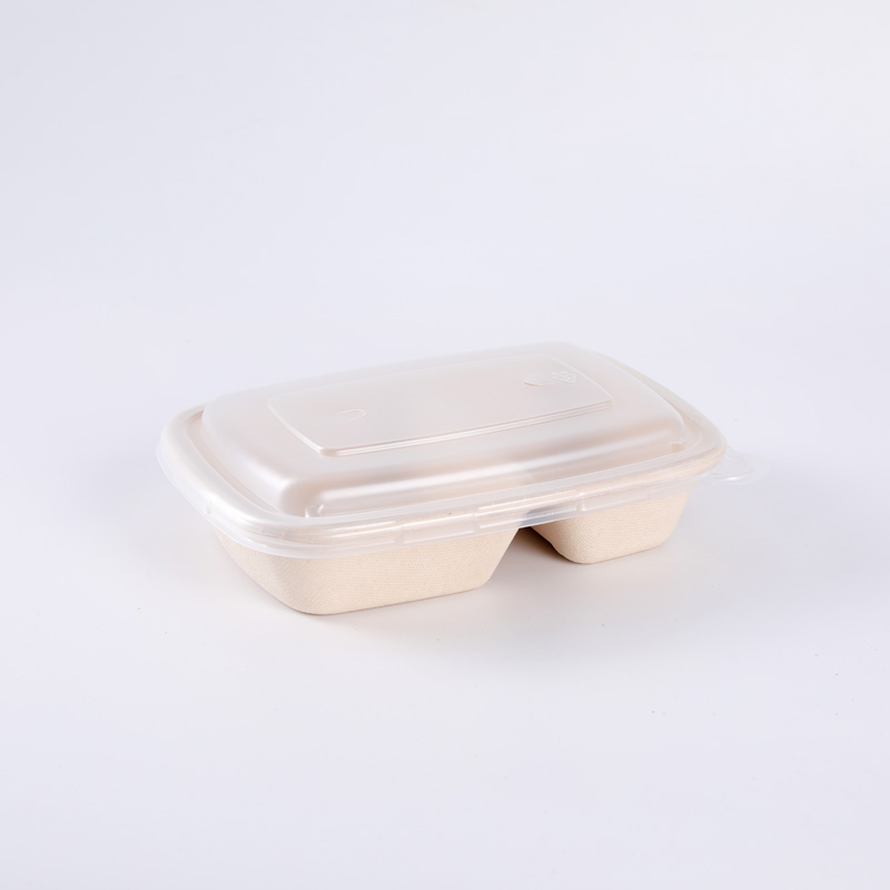 Disposable Bagasse Bento Box with Lid Rectangle Biodegradable Sugarcane Tableware Takeaway Food Container