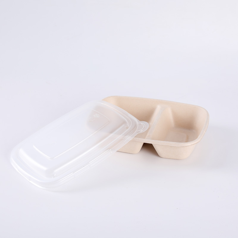 Disposable Bagasse Bento Box with Lid Rectangle Biodegradable Sugarcane Tableware Takeaway Food Container