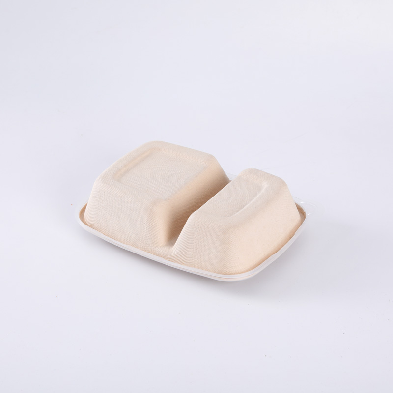 Disposable Bagasse Bento Box with Lid Rectangle Biodegradable Sugarcane Tableware Takeaway Food Container