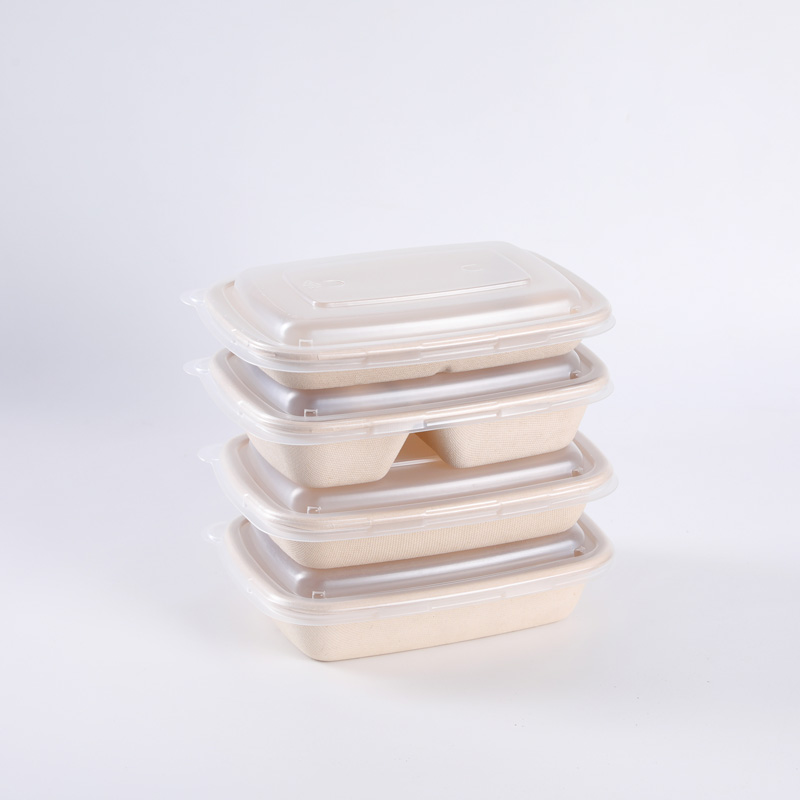 Disposable Bagasse Bento Box with Lid Rectangle Biodegradable Sugarcane Tableware Takeaway Food Container