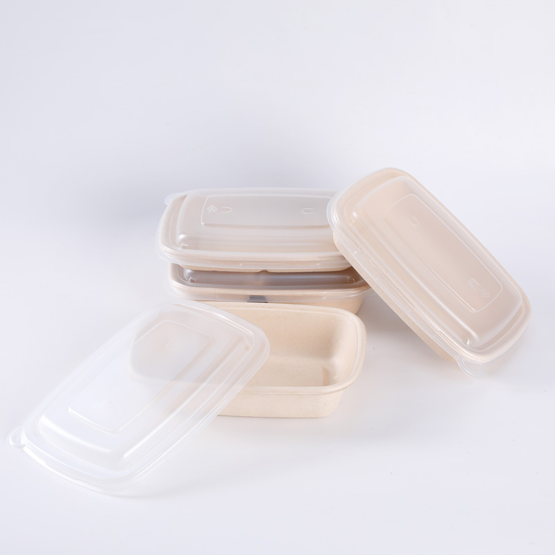 Disposable Bagasse Bento Box with Lid Rectangle Biodegradable Sugarcane Tableware Takeaway Food Container