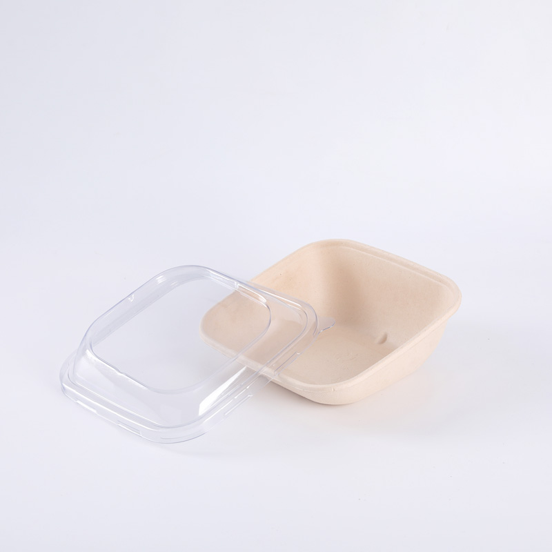 Disposable Takeaway Sugarcane Bagasse Pulp Food Packaging Lunch Box Noodle Pulp Sugarcane Bagasse Salad Bowl With Lid
