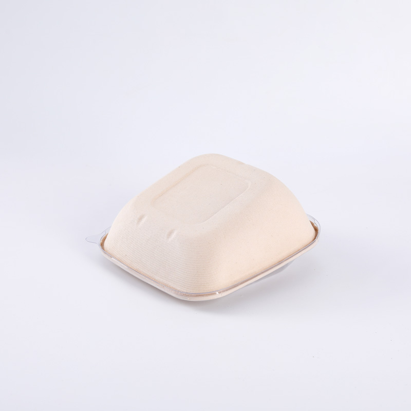 Disposable Takeaway Sugarcane Bagasse Pulp Food Packaging Lunch Box Noodle Pulp Sugarcane Bagasse Salad Bowl With Lid