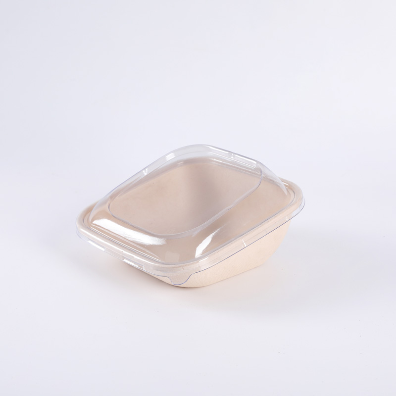 Disposable Takeaway Sugarcane Bagasse Pulp Food Packaging Lunch Box Noodle Pulp Sugarcane Bagasse Salad Bowl With Lid