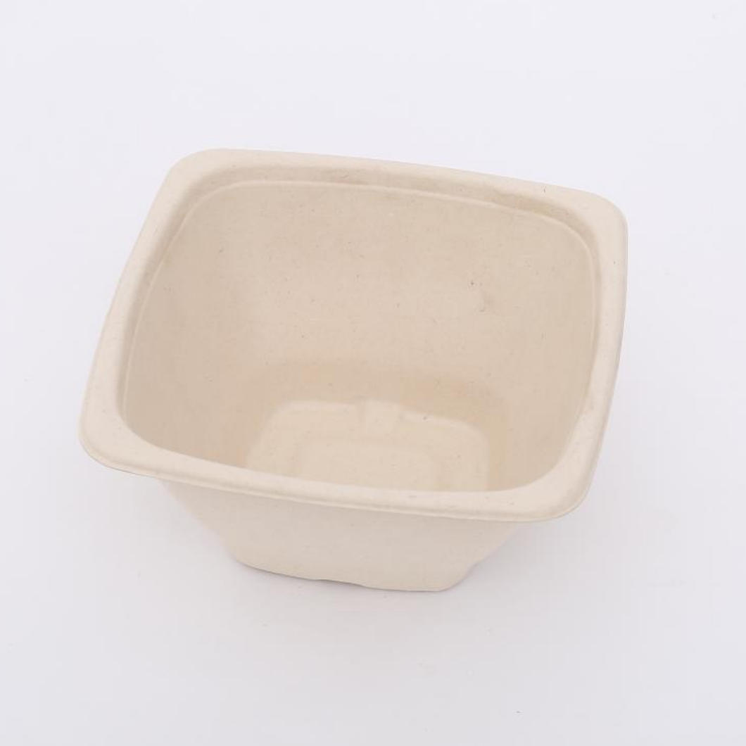 Biodegradable Sugarcane Bagasse Bowl Disposable Square Serving Bowls with Lid