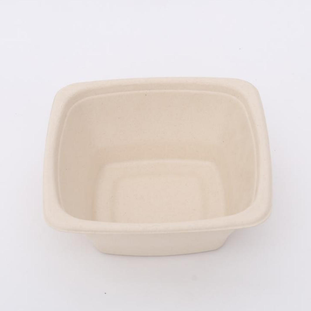 Biodegradable Sugarcane Bagasse Bowl Disposable Square Serving Bowls with Lid
