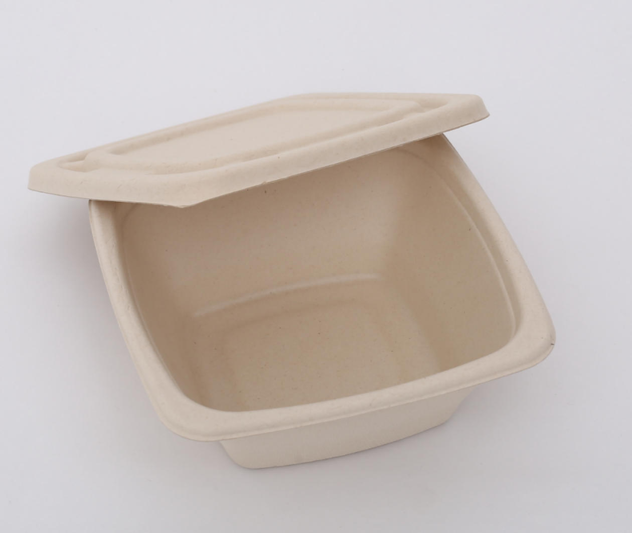 Biodegradable Sugarcane Bagasse Bowl Disposable Square Serving Bowls with Lid