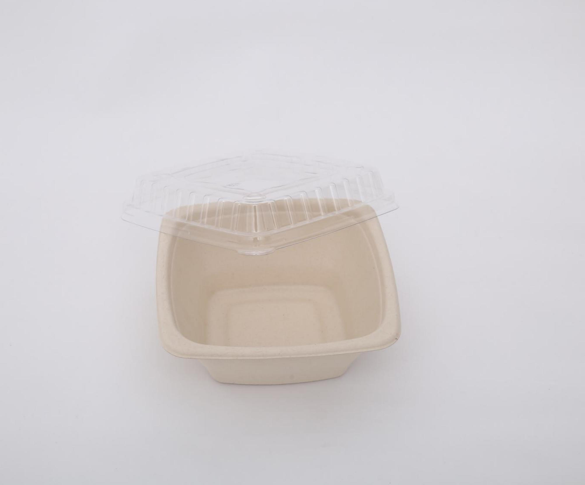 Biodegradable Sugarcane Bagasse Bowl Disposable Square Serving Bowls with Lid