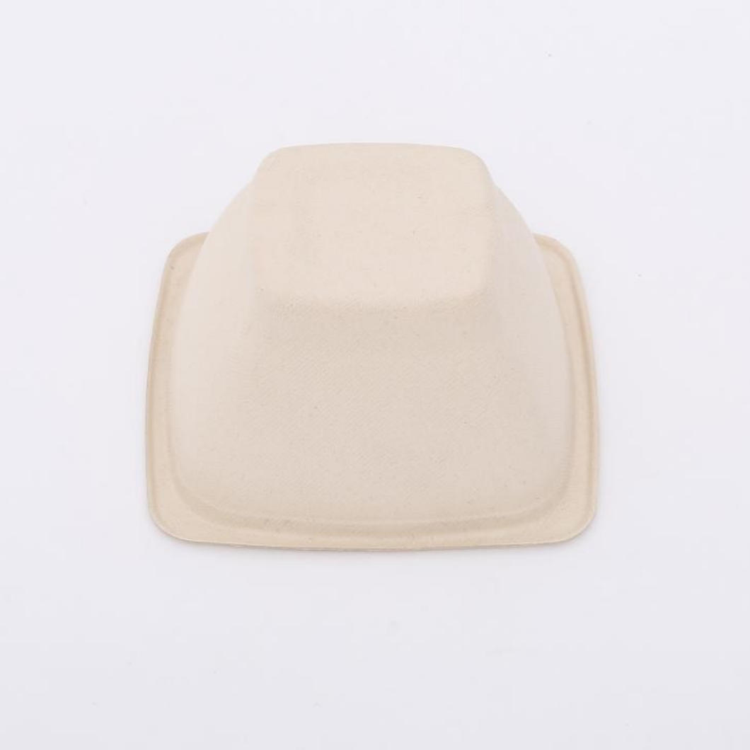 Biodegradable Sugarcane Bagasse Bowl Disposable Square Serving Bowls with Lid