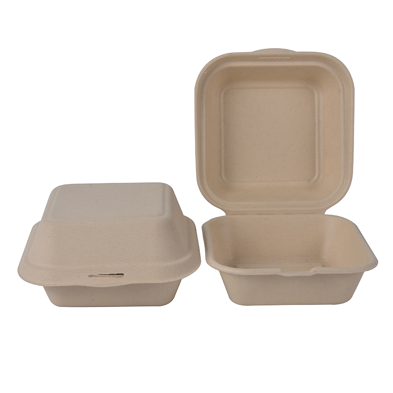 Disposable Clamshell Lunch Box Sugarcane Bagasse Pulp Take Out Bento Food Container