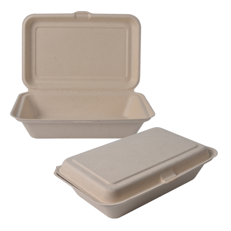 Disposable Clamshell Lunch Box Sugarcane Bagasse Pulp Take Out Bento Food Container