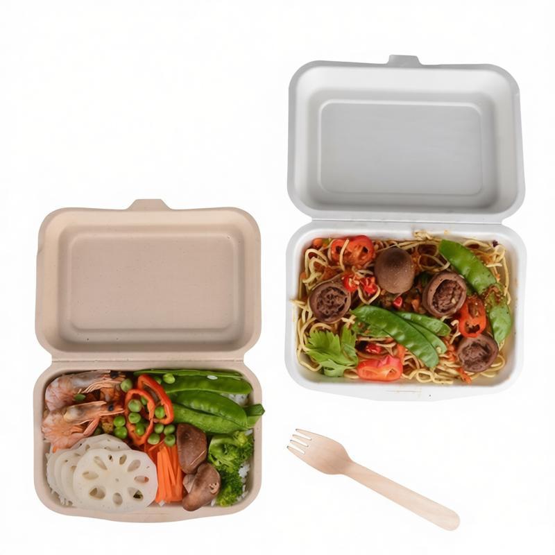 Disposable Clamshell Lunch Box Sugarcane Bagasse Pulp Take Out Bento Food Container