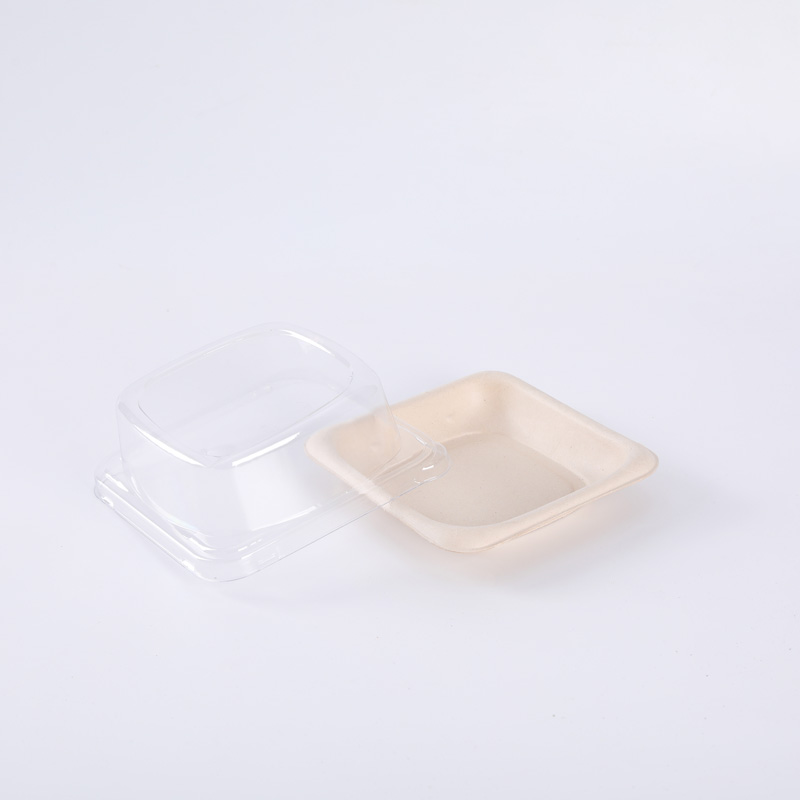 Biodegradable Compostable Bagasse Takeaway Sushi Box With Lid Cake Tray with LID