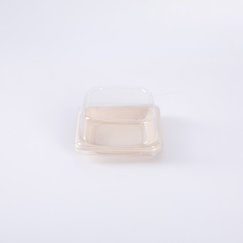 Biodegradable Compostable Bagasse Takeaway Sushi Box With Lid Cake Tray with LID
