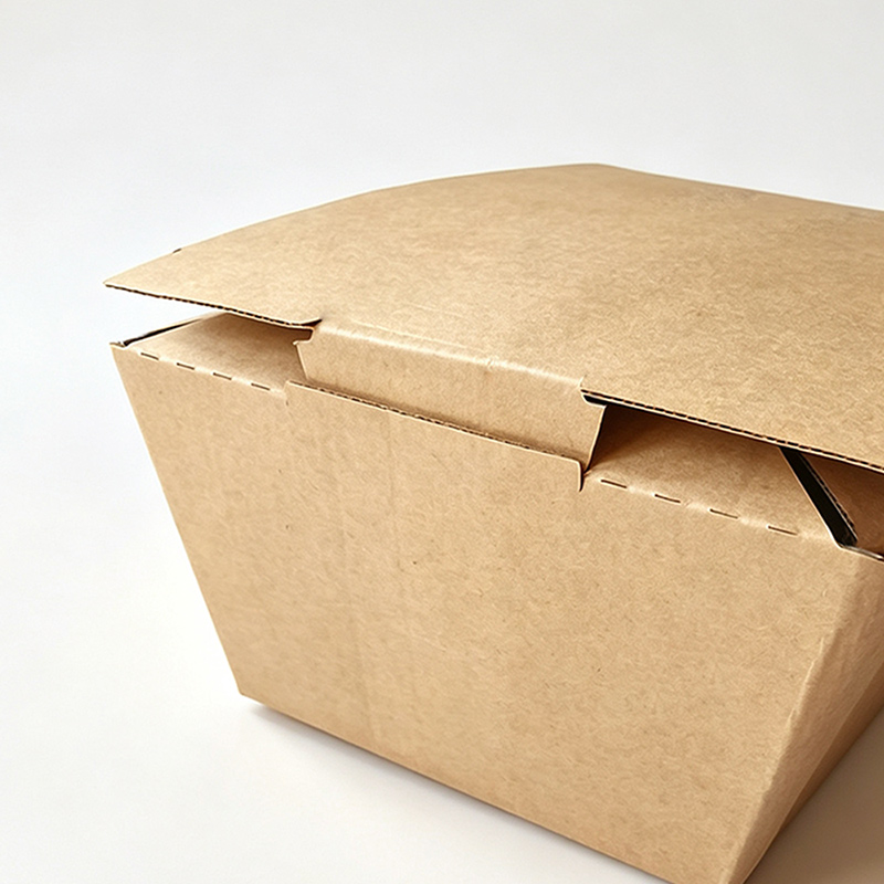 Eco-Friendly Biodegradable Disposable Pasta Box with PET Coating for Oven and Sushi